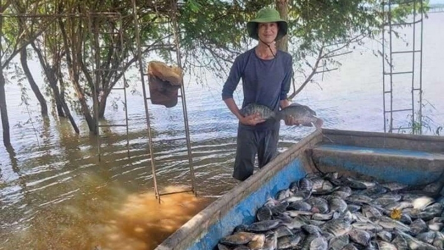 Vietnam exports first shipment of tilapia to Brazil